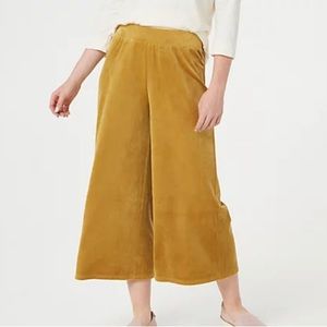 Velour wide leg crop pant. Antique Gold.